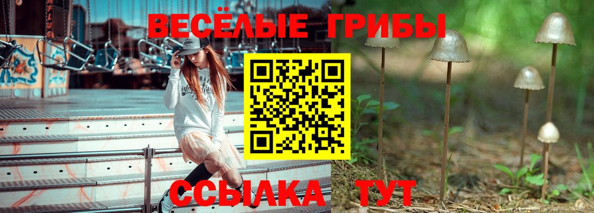 Галлюциногенные грибы мухоморы Ярцево